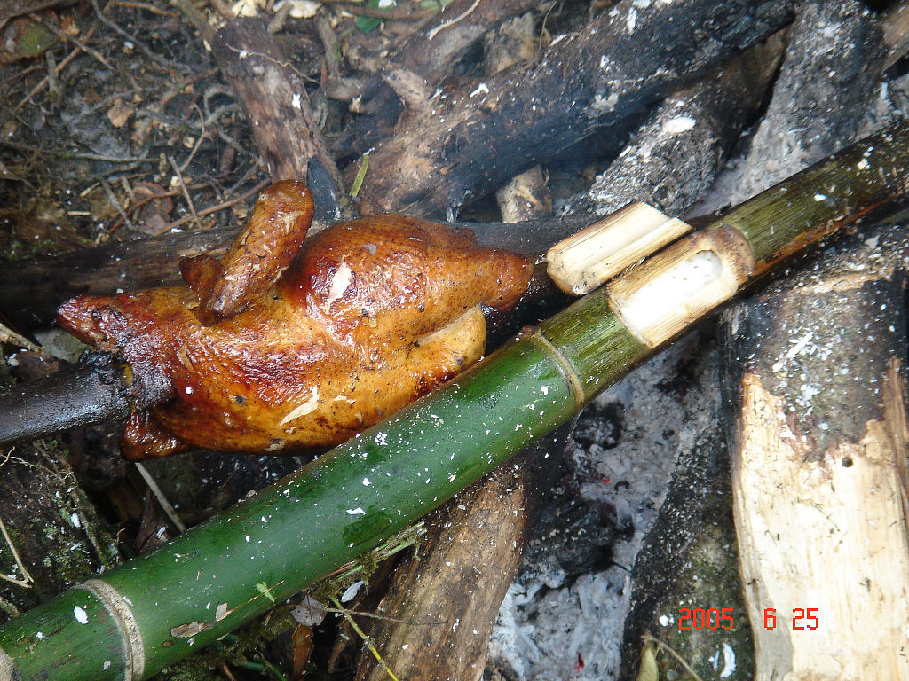 烤雞 + 竹筒飯 (野趣十足)!