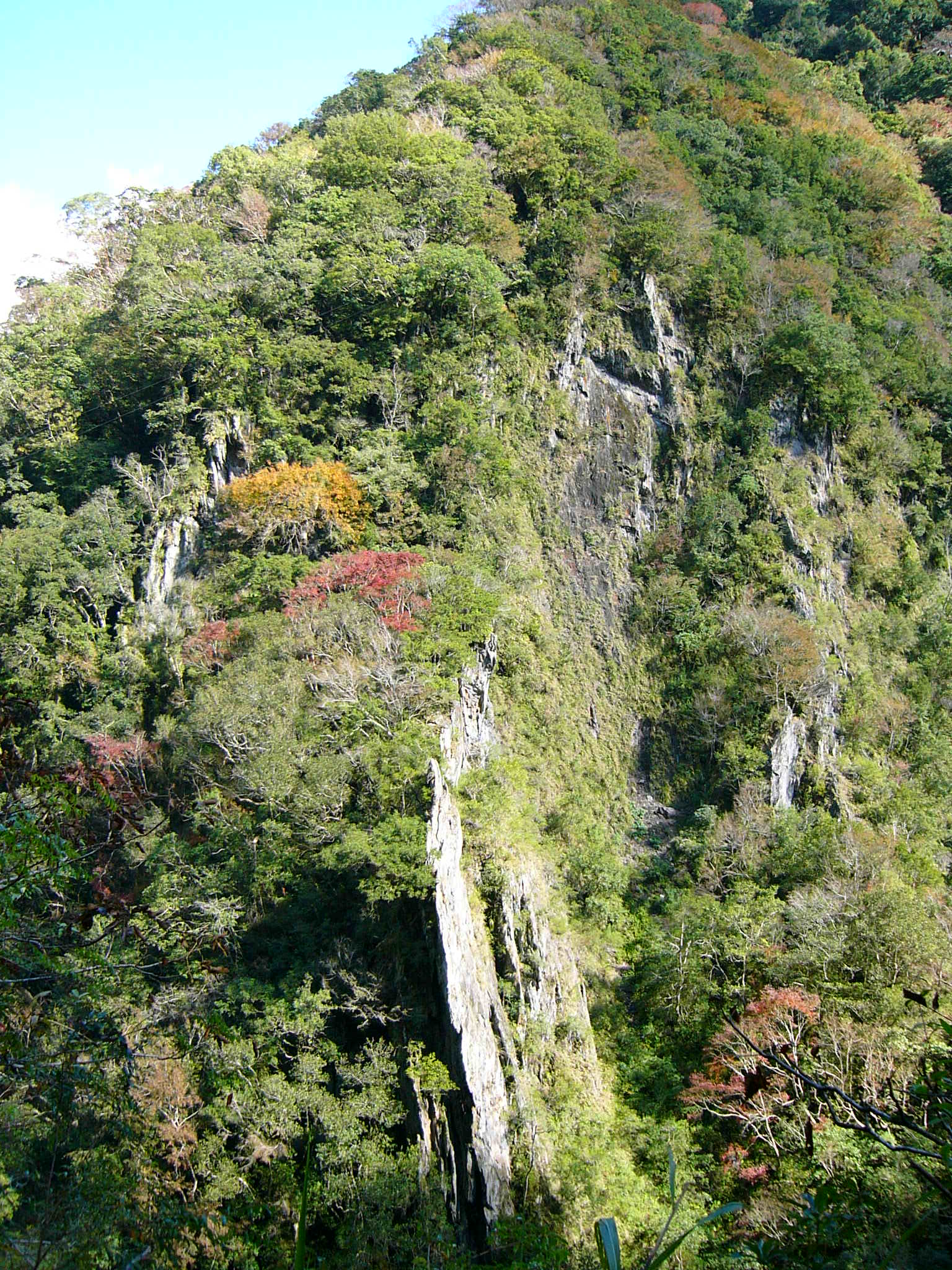 步道1