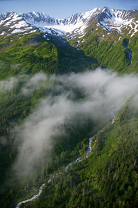 Kenai  Fjords  National  Park    is  capped  by  the  Harding  Icefield,  a  relic  from  past  ice-ages  and  the  largest  icefield  entirely  within  U.S.  borders.