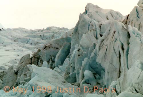 Exit Glacier