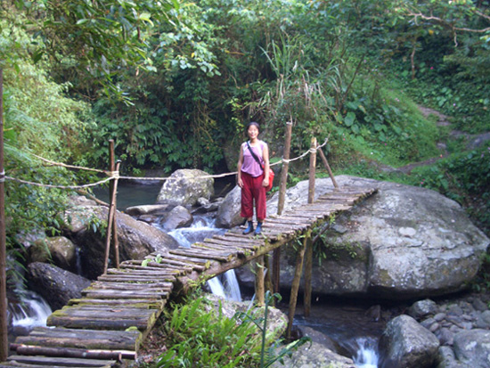 步道上的小橋
