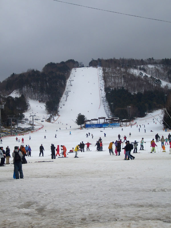 三人都順利滑下這條難度為兩顆黑鑽石(專家級)的雪道.