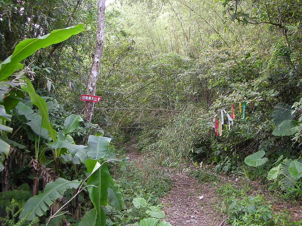 南插天山登山口