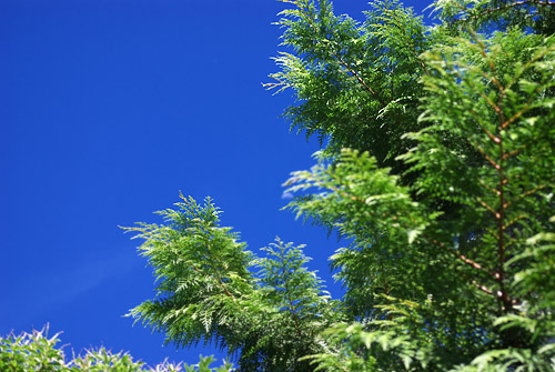 椎巴宇山頂, 好藍的天空