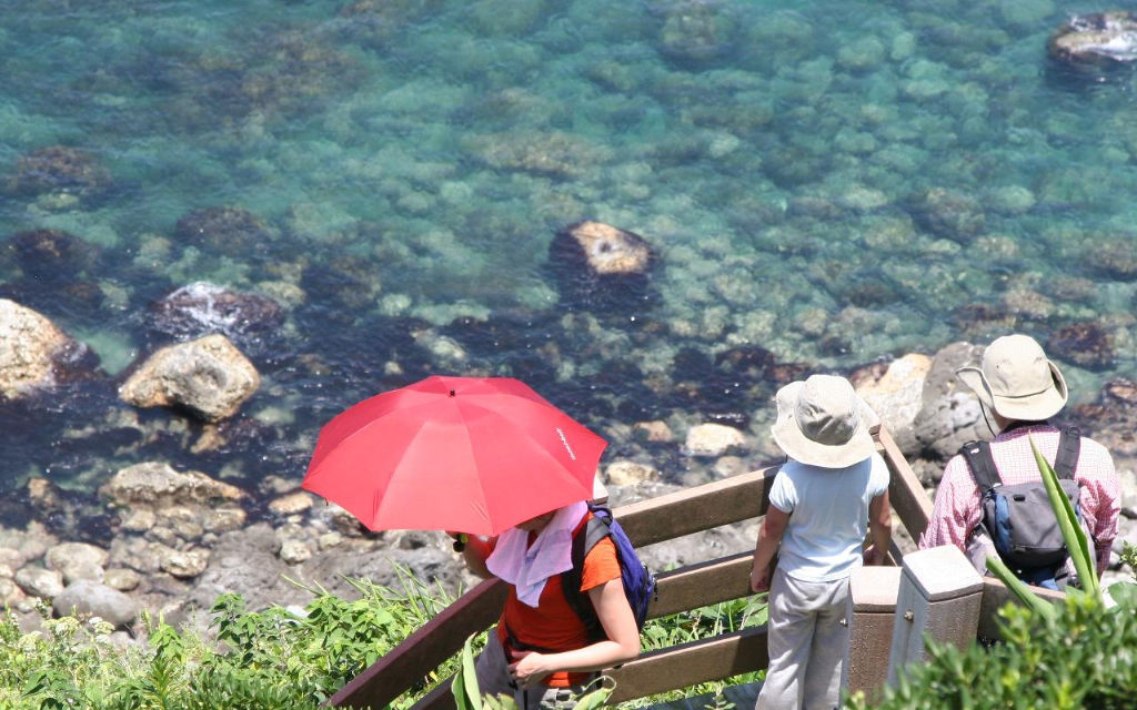 看海