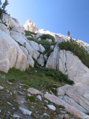 we came down from this dried creek