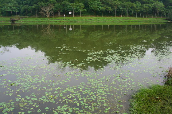 倒影處處的靜思湖