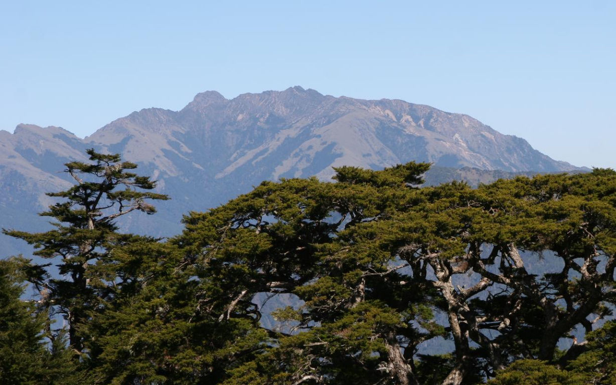 遠眺玉山