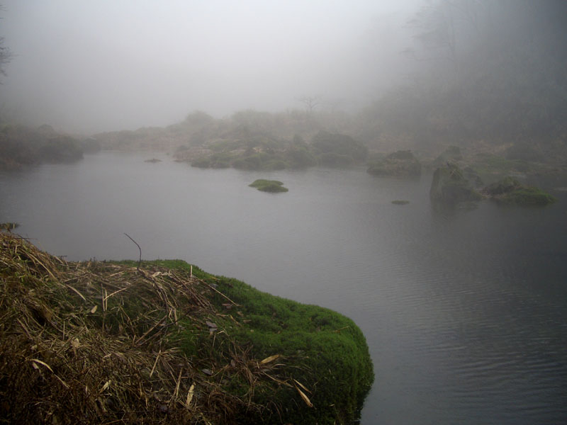 池中有石頭