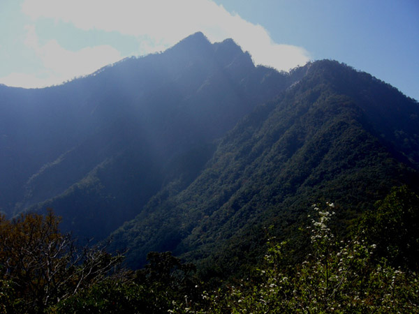 從1916峰望向霧頭山