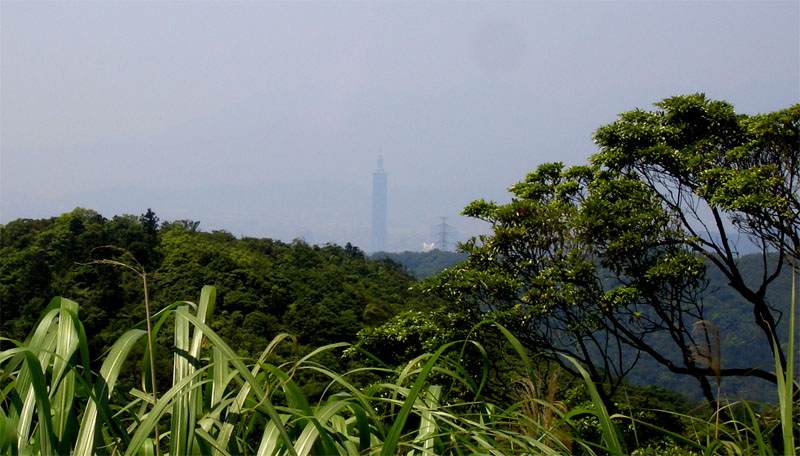 在中嶺山頂可望見101大樓