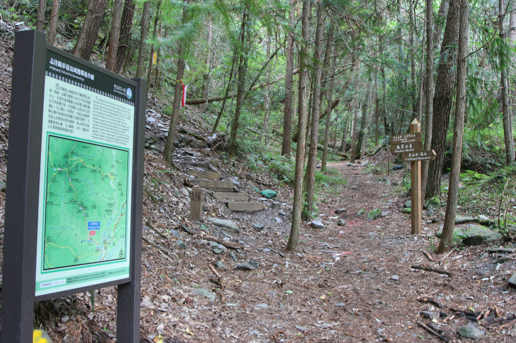 3.1km (過志佳陽4號棧橋), 自此開始陡升