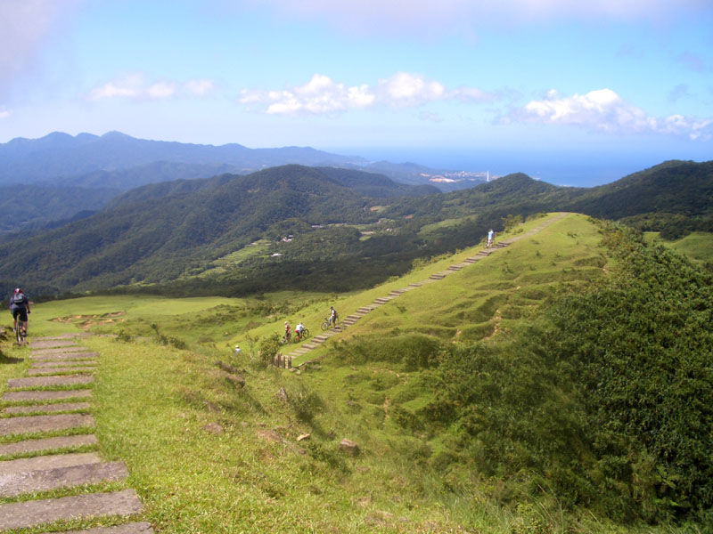 亮麗的風景