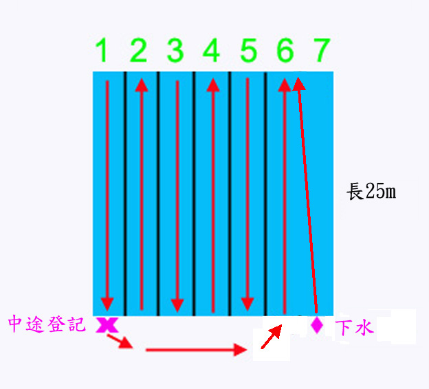 游泳方式示意圖