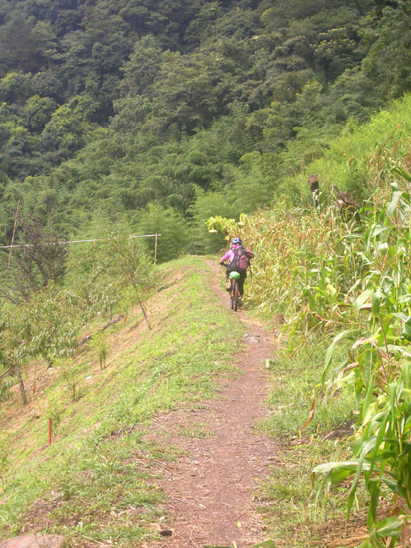 騎經山坡農園, 接近養老部落了.
