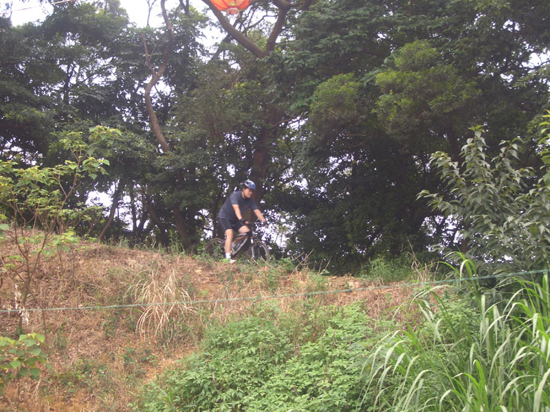 草土石產道終點.