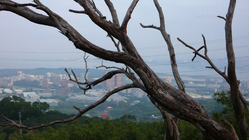 下山途中,下眺八里和淡水河
