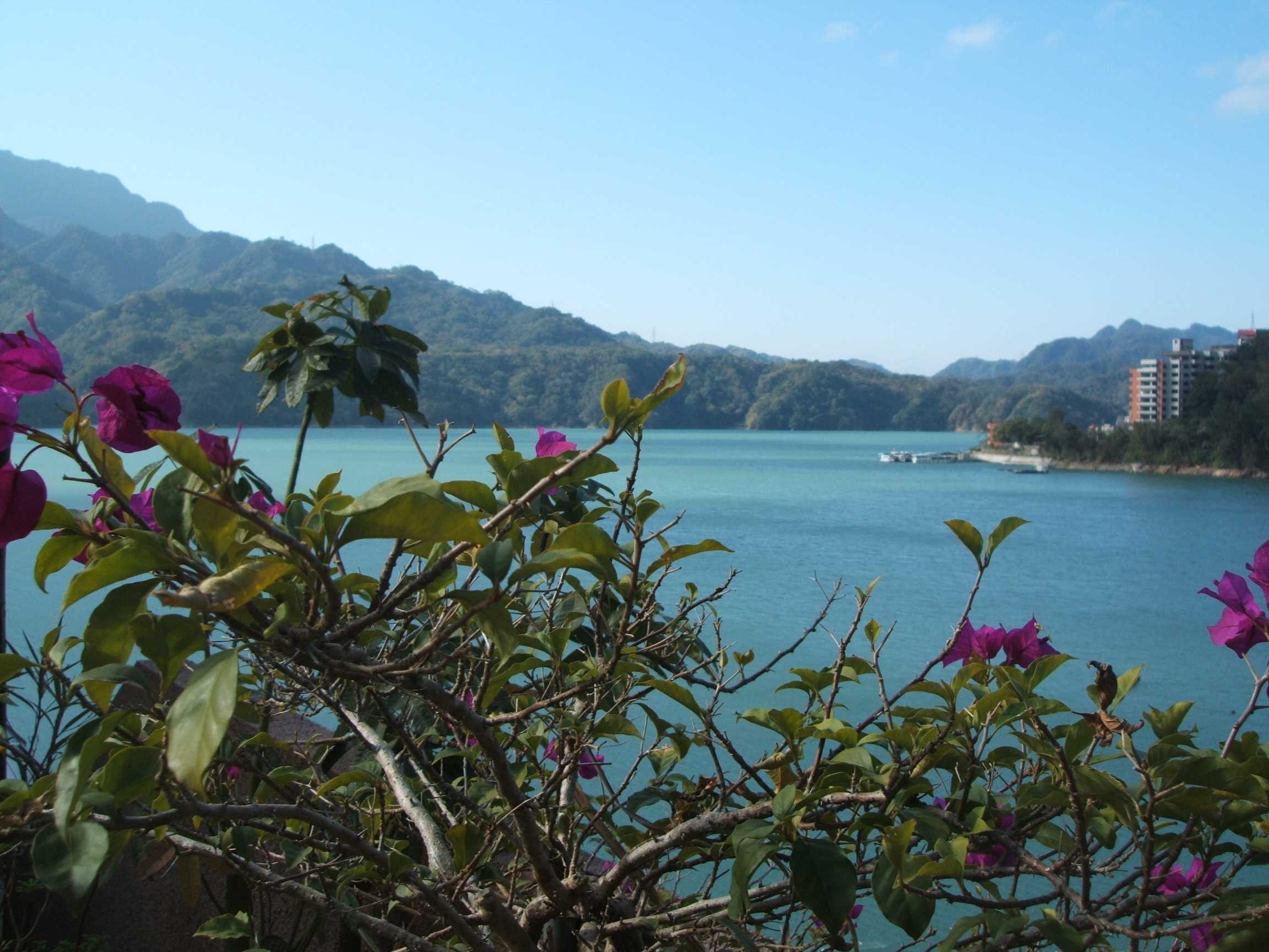 水庫另一景
