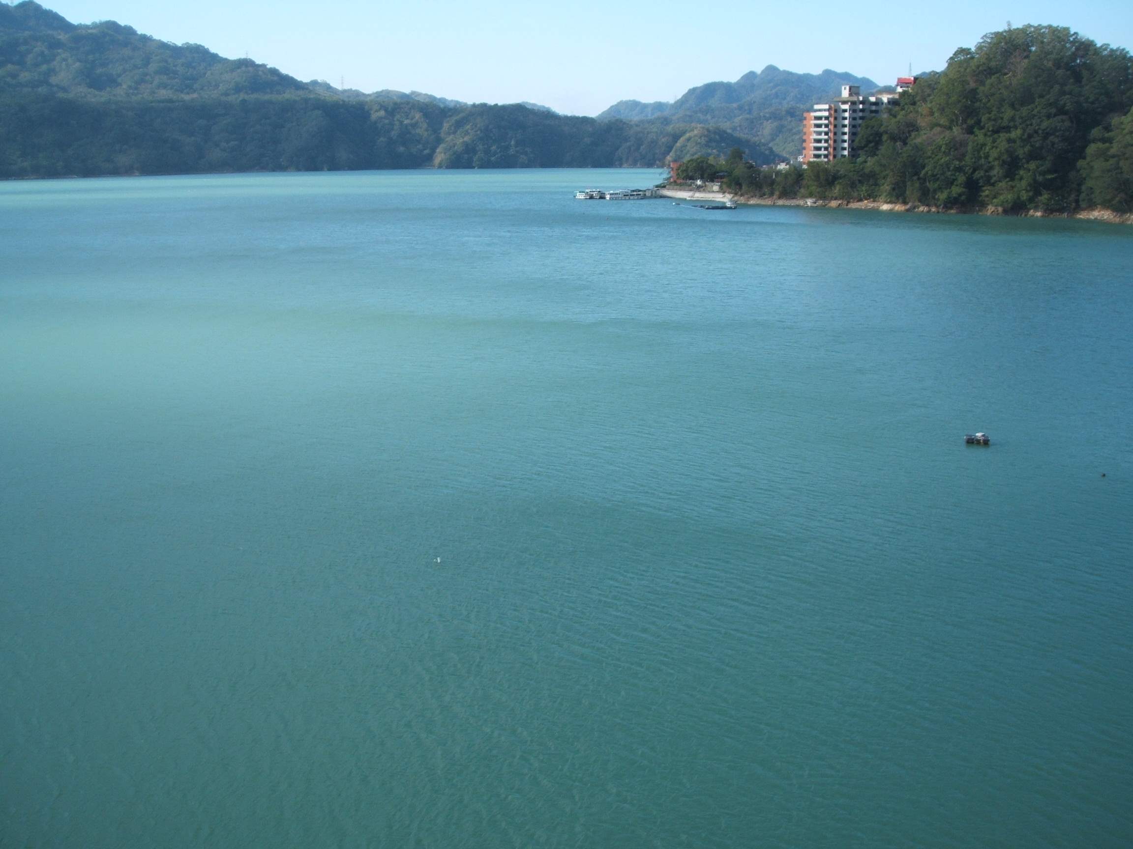 水庫綠得像能安草原