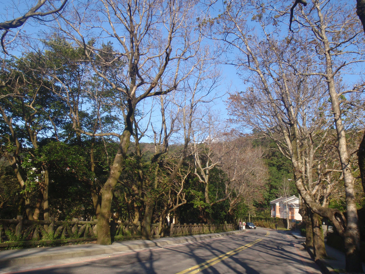 第一段上坡: 風景秀麗的仰德大道, 天氣好時, 騎起來心曠神宜