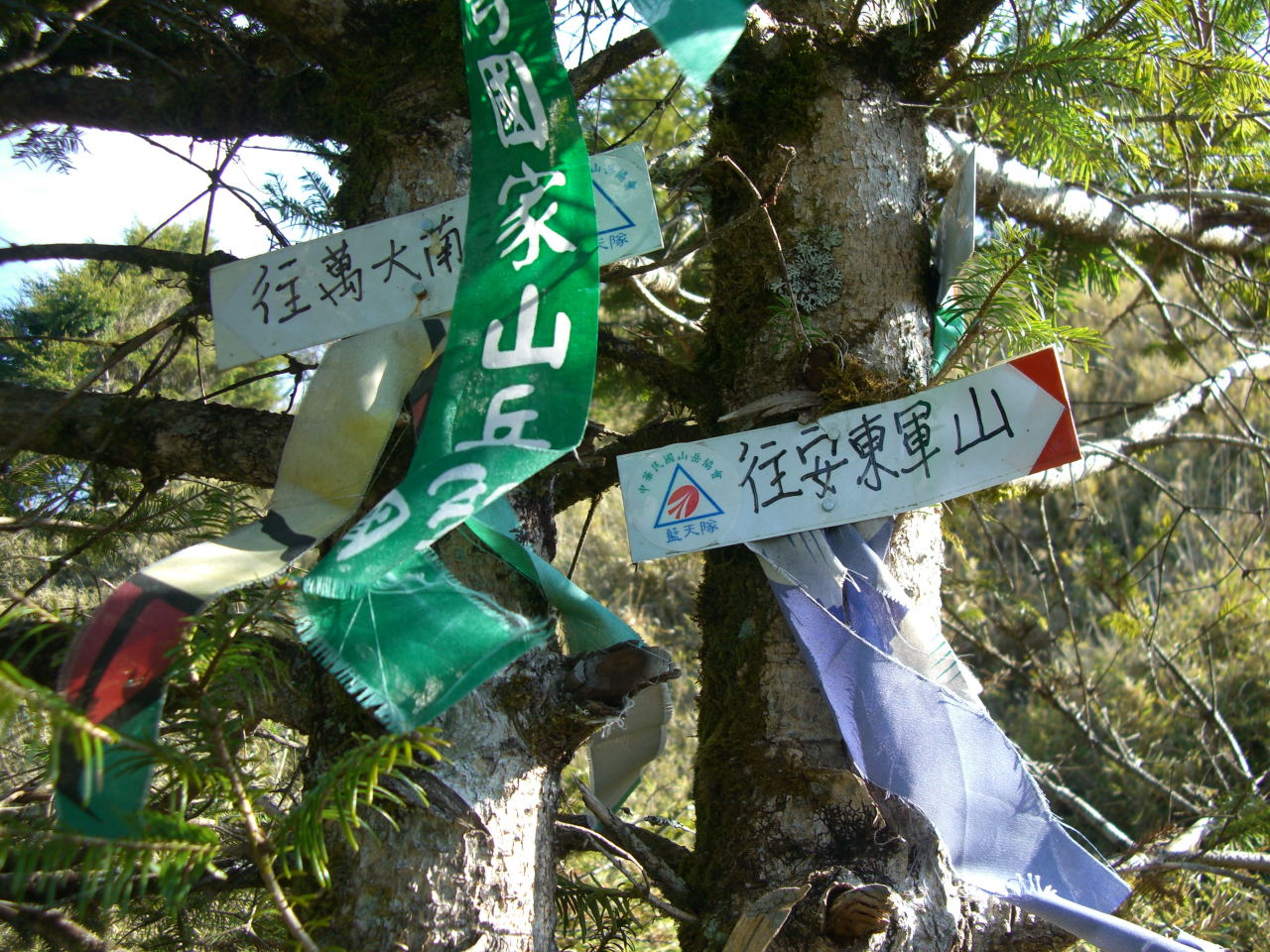 三叉路口，就要踏上歸途，能安，再會啦！
