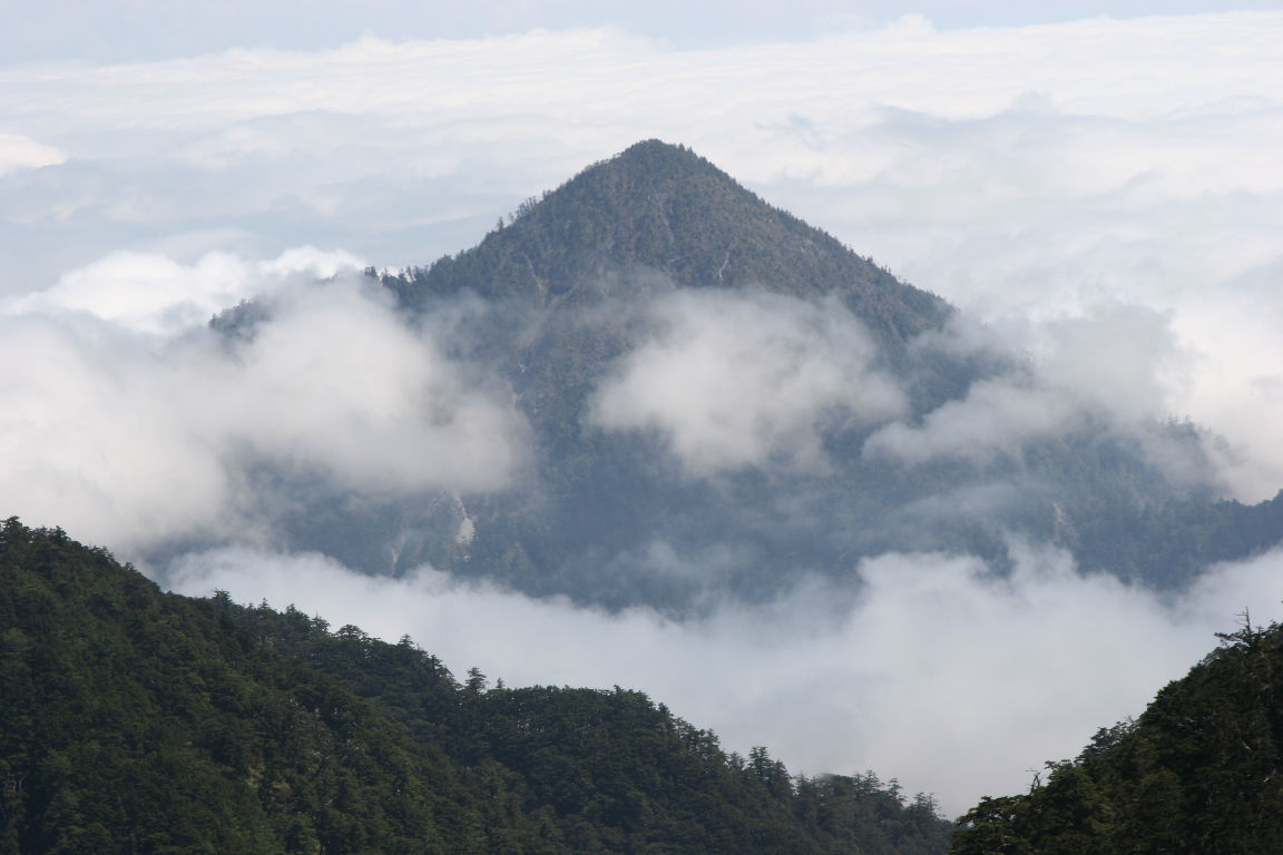 雲海上的山頭, 猶如海上仙山!