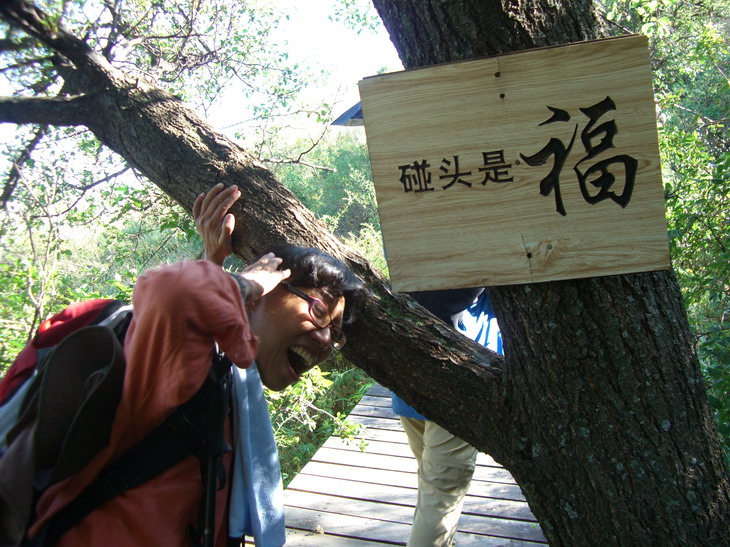 野核桃溝，第二碰，嗯！看起來很痛，福氣更多了！