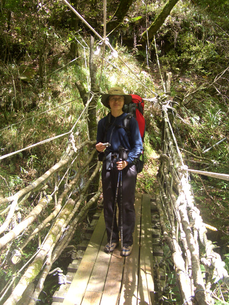 塔次基里溪的鋼橋, 有結繩網當護欄