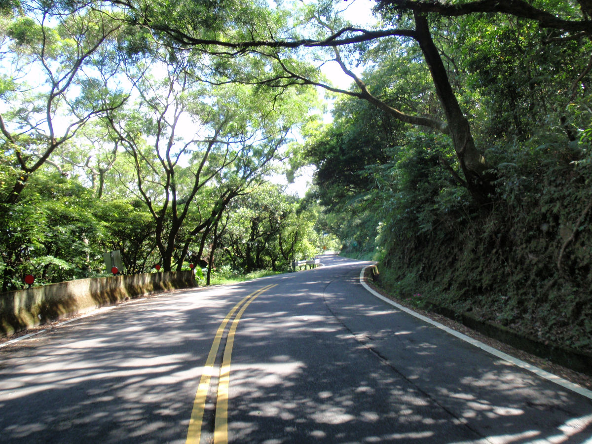 美麗有林蔭的巴拉卡公路, 粉適合夏天來騎! ^^