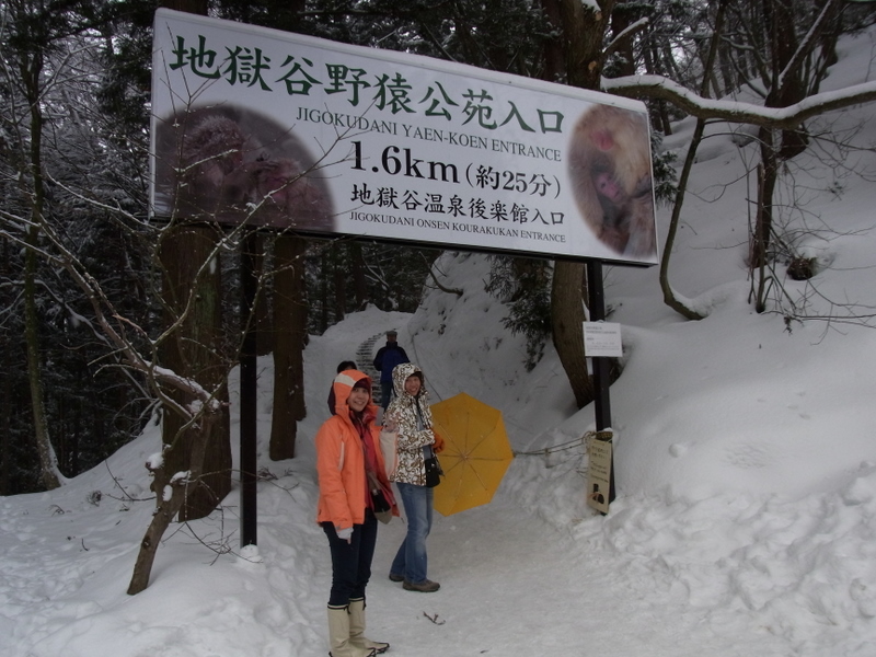 看猴子泡溫泉要走半小時左右,地還有點滑