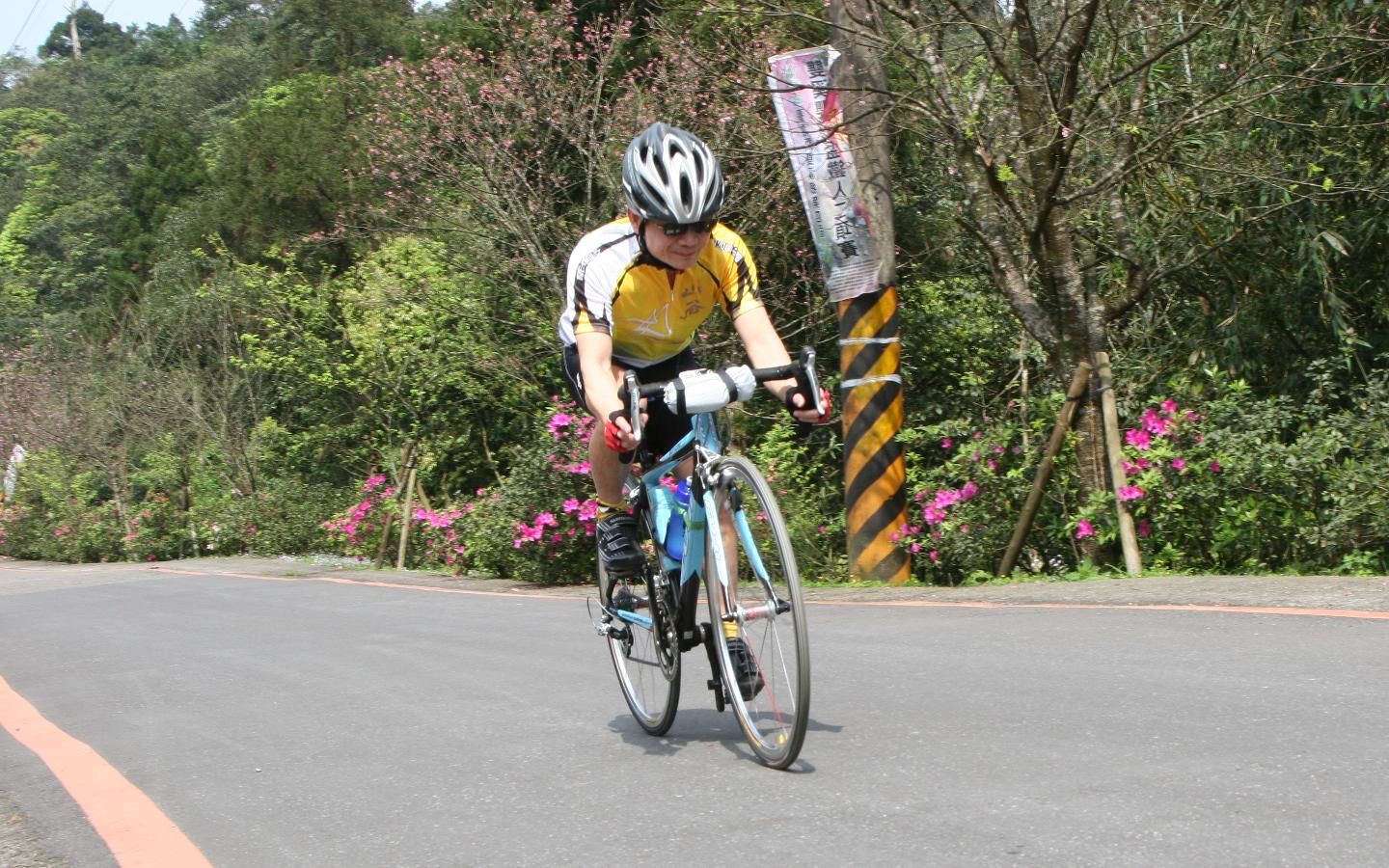 蔡大哥"陪騎"到壽山宮, 與我們一起享受櫻花盛開的雙泰產業道路, 也算值回票價啦!