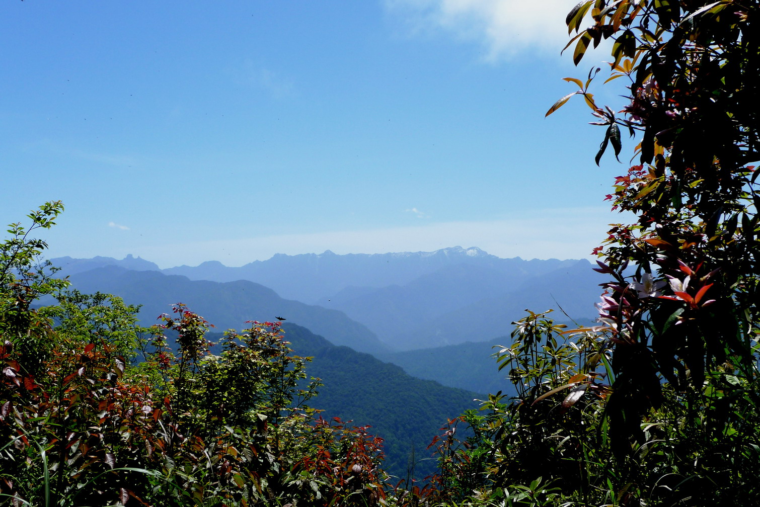在東洗水山頂往東望去