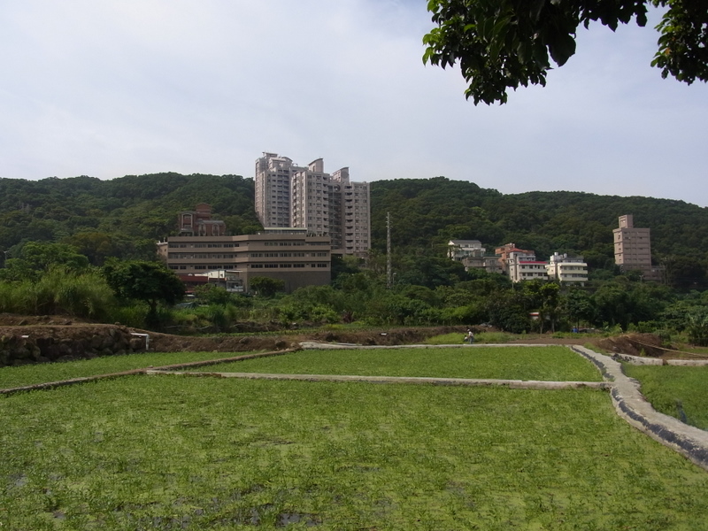 淡水三空泉