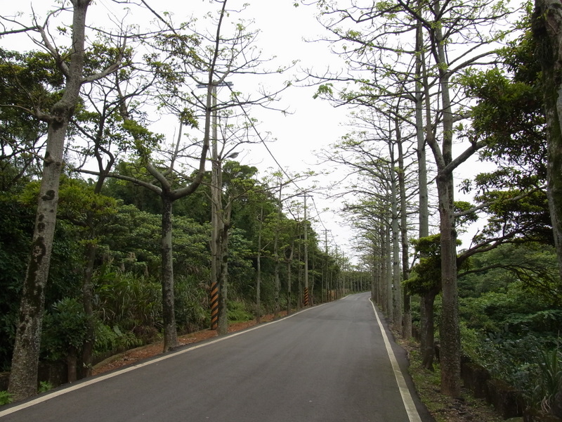 橫山村"木棉景觀道"