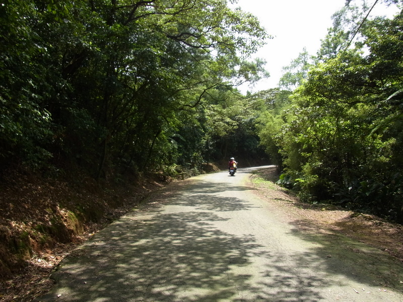 北21下金山