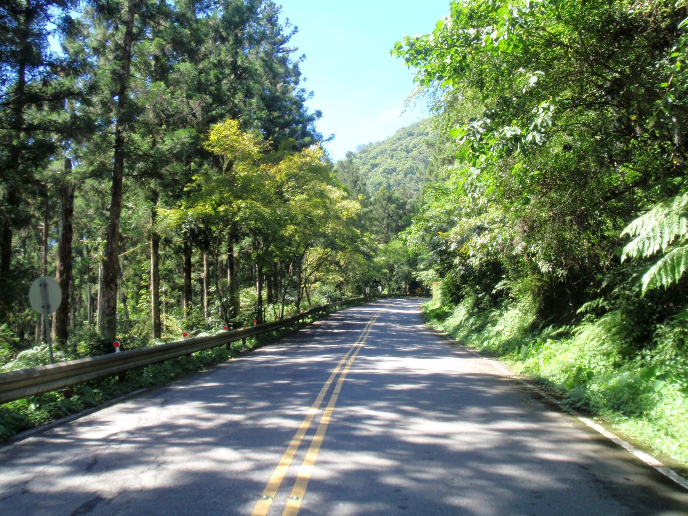 沿路都有樹蔭, 粉像巴拉卡公路