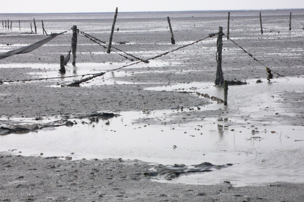 混沌