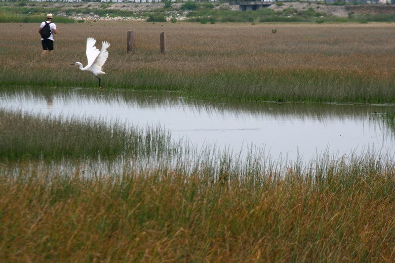 連鳥兒都流連忘返