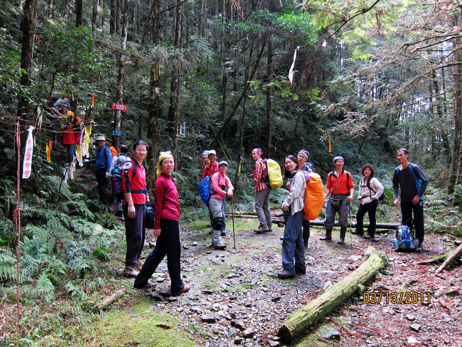 林道登山口，開始往上攀
