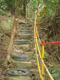 好像野戰遊戲基地的舊小路。