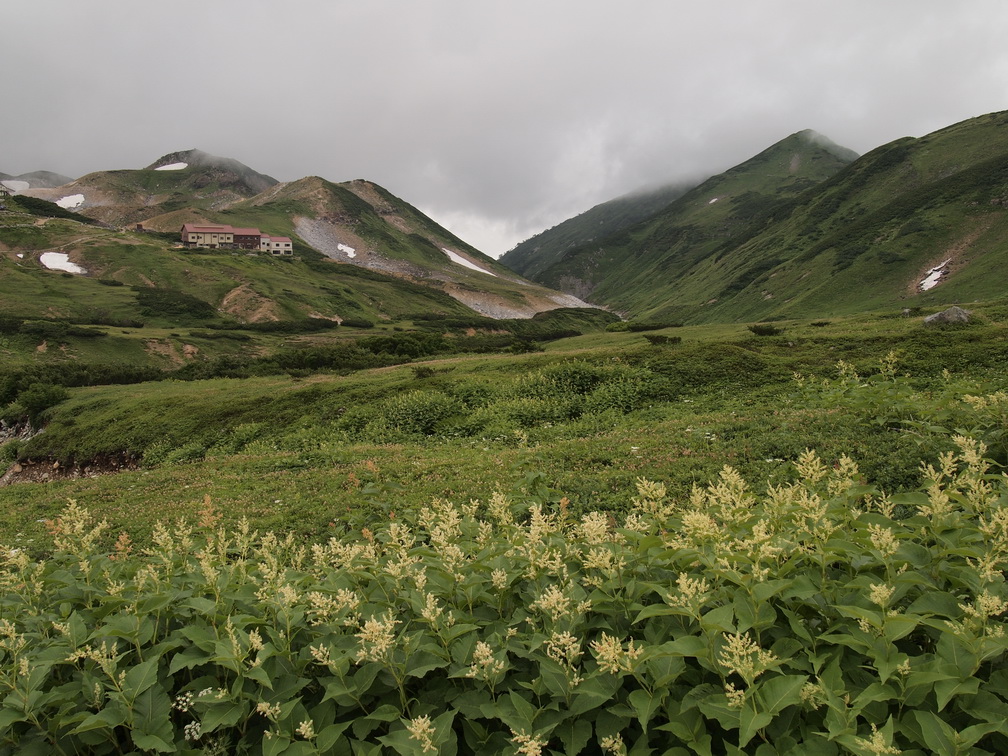 終於快到雷鳥澤谷地，準備坐車下山了。