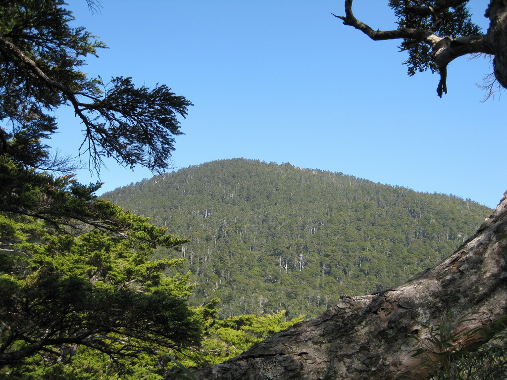 白姑大山在望
