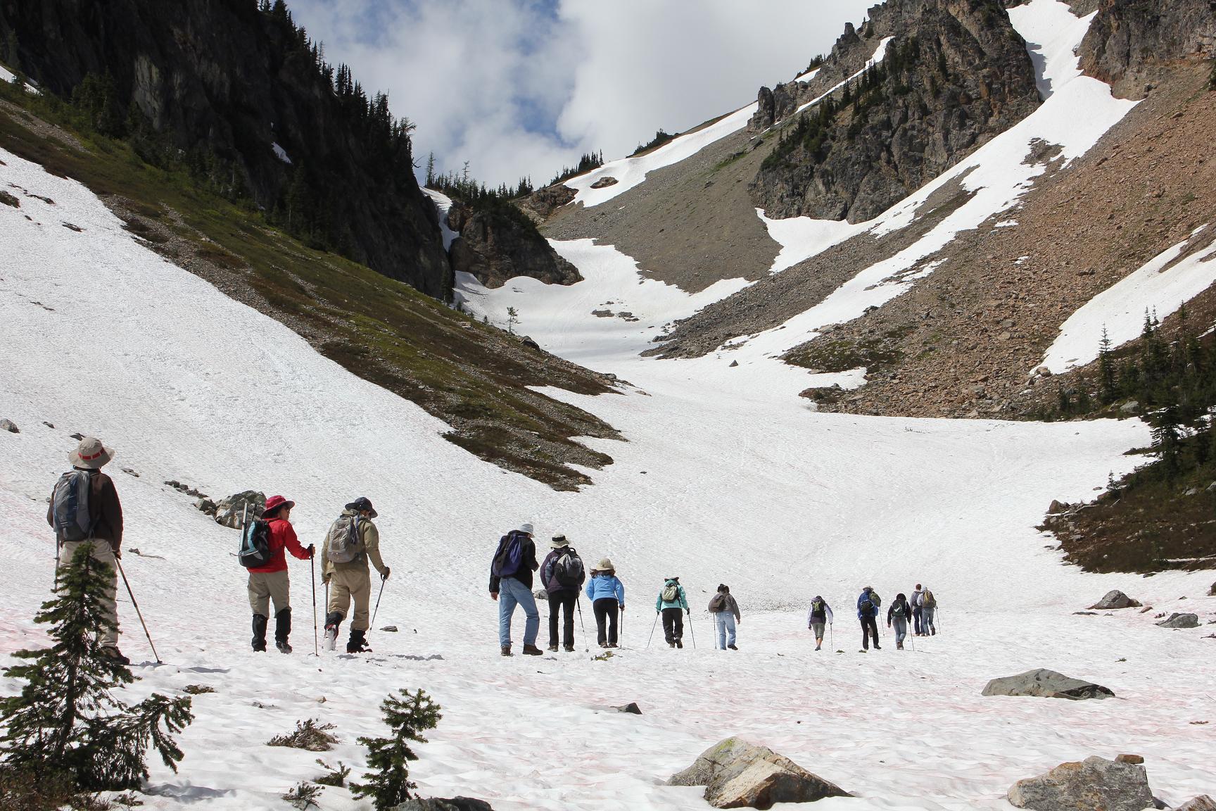 Easy Pass Trail in North Cascades National Park