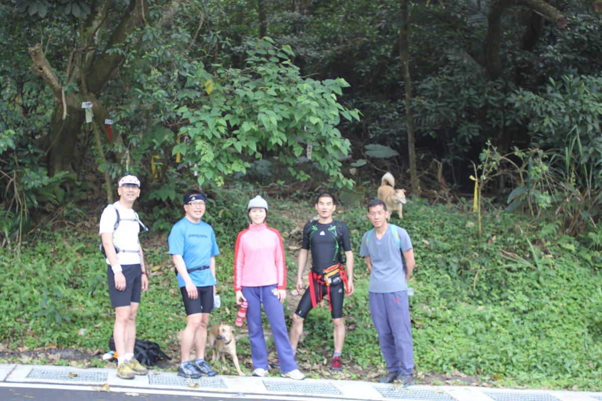 一開始走錯路的牛稠尾山登山口