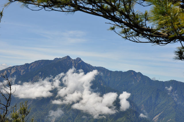峰雲交疊山上松
