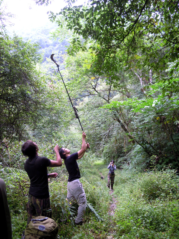採果第二招: 兩根登山杖加草刀, 勉強有效.