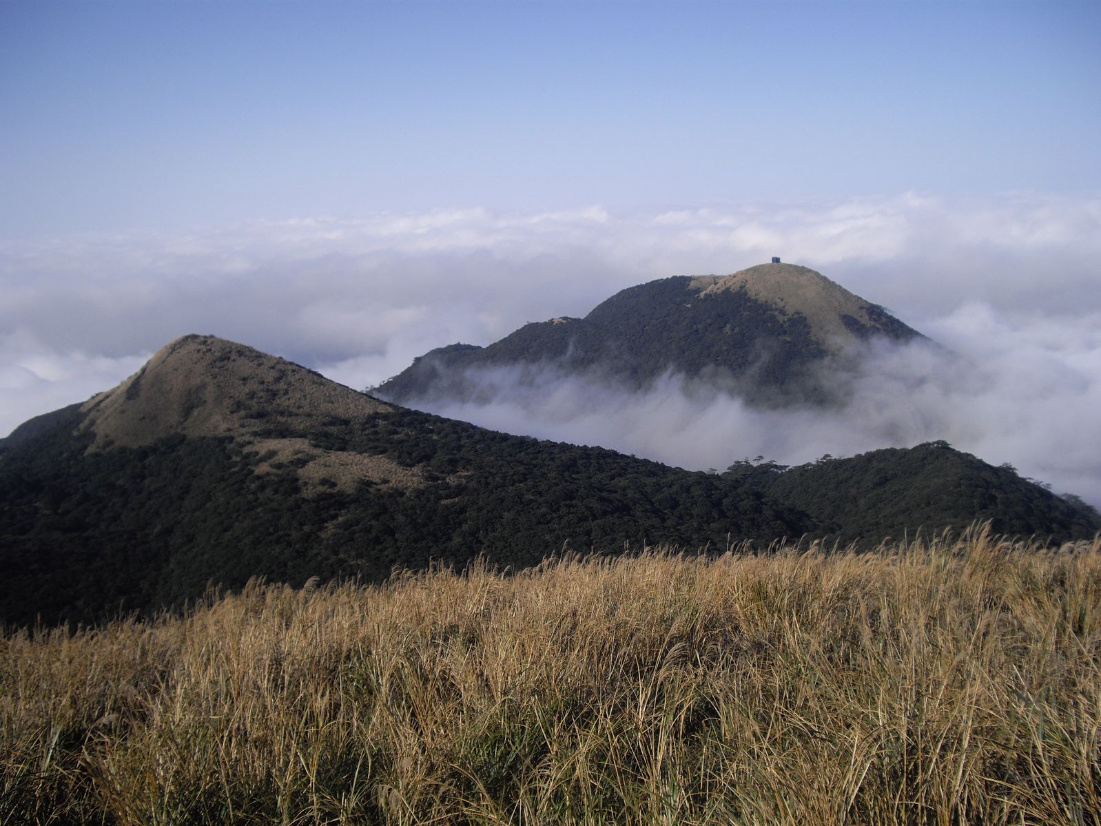 朝氣蓬勃的大屯山系
