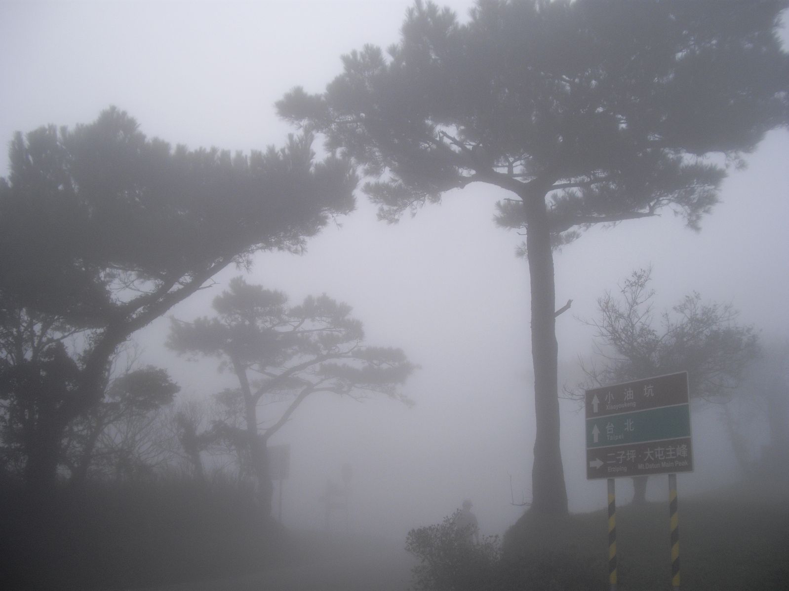 只在此山中，雲深不知處~