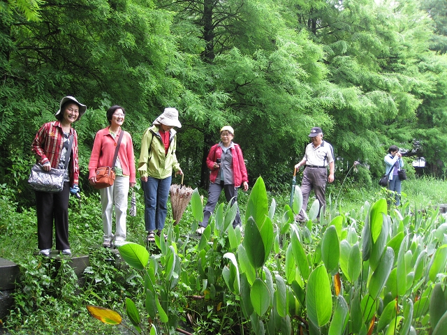 花蓮壽豐雲山水躍石過溪