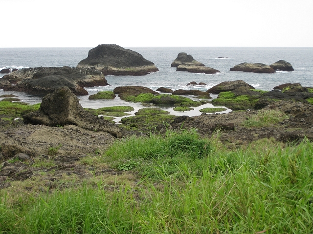 莎娃綠岸(台11線66.2K)